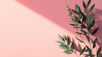 Elegant green sprigs cast long shadows on a serene pink surface, creating a minimalist, nature-inspired composition. Simple and striking. photo
