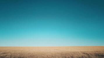Expansive scene with a golden wheat field meeting a clear, cloudless turquoise sky, showcasing the beauty of natural landscapes. photo