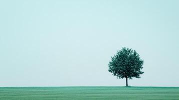 Lone tree stands sentinel against a pale sky, symbolizing resilience and solitude in a minimalist landscape setting, providing a serene view. photo