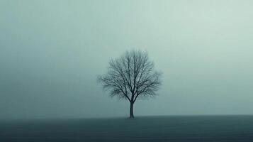 A solitary leafless tree emerges from a dense fog in a minimalist landscape. The muted colors create an atmosphere of serene isolation. photo