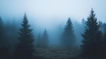 A misty forest landscape with evergreen trees. The dense fog creates a mysterious and serene atmosphere, obscuring details. photo