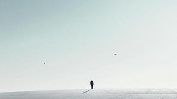 Solitary figure stands on an open plain under a vast sky, evoking a sense of loneliness, contemplation, and the search for purpose. photo