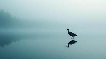 Silhouette of a heron standing in a misty lake, its reflection mirrored in the calm water under a soft, muted sky. Serene moment. photo