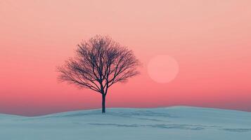 Solitary tree against a gradient sky. The snow-covered hill and setting sun create a serene, minimalist winter landscape. photo