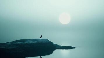 A tranquil scene featuring a lone bird perched on a rock against a soft, dreamlike backdrop of water and a glowing sun. Serene solitude. photo