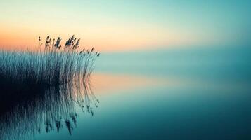 Serene reeds reflect on still waters at dusk, creating a tranquil scene. Soft sunset hues blend above the calm surface. photo