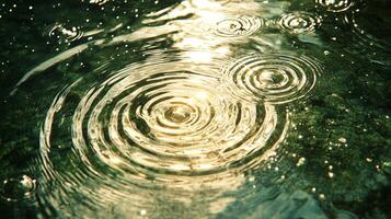 Water ripples reflecting sunlight. Raindrops creating concentric circles. Nature's artistry in motion. Calm and mesmerizing effect. photo