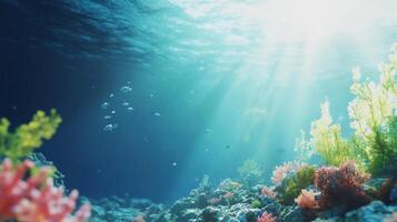 Underwater scene with sunlight filtering through the surface, illuminating coral reefs and marine life. A serene and vibrant marine environment. photo
