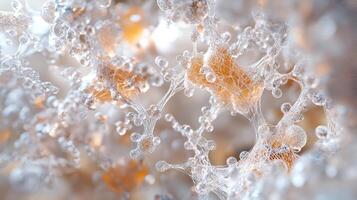 Delicate network of transparent spheres connected by thin threads, creating a captivating, abstract, and ethereal visual experience. photo