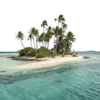 un isla con palma arboles en el medio de el Oceano png
