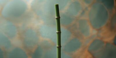 Bamboo was cut put a lot of overlap background texture. photo