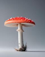 Luminous Red Mushroom with White Dots in a Gray Background photo