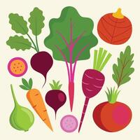 A collection of vegetables and fruits on a white background vector