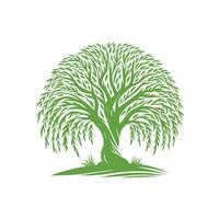 Awesome willow tree logo design design on a white background vector