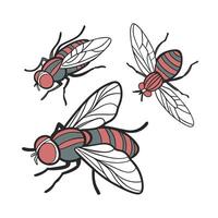 Three flies with red and black stripes on a white background vector