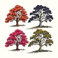 Four different types of trees in different colors vector