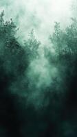 Misty forest landscape with dense fog revealing silhouettes of trees at dawn photo