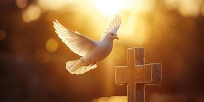 White dove in flight near a cross during golden hour, symbolizing peace and hope in a serene setting photo
