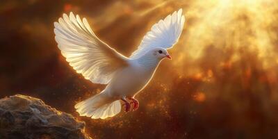 White dove gracefully soaring against a vibrant golden sunset background photo