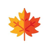 Beautiful Maple Leaf Icon Design vector