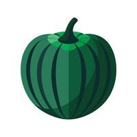 Acorn Squash with Ridges Illustration vector