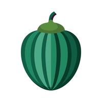 Acorn Squash with Distinct Ridges Illustration vector