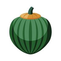 Stylish Acorn Squash with Distinct Ridges vector
