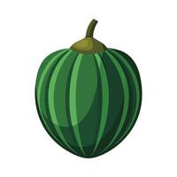 Single Acorn Squash with Distinct Ridges vector