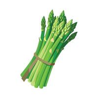 Stylish Asparagus Spears with Sharp Tips vector