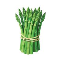 Flat Icon of Asparagus Spears with Sharp Tips vector