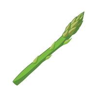 Asparagus Spear with Tapered Tip Flat Icon vector