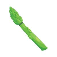 Stylish Asparagus Spear with Tapered Tip vector