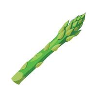 Stylish Asparagus Spear with Tapered Tip icon vector