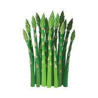 Flat Icon of Asparagus Spears with Tall Slim Form vector