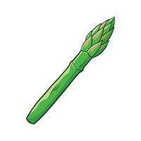Elegant Asparagus Spear with Tapered Tip. vector