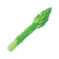 Flat Icon of Asparagus Spear with Tapered Tip vector