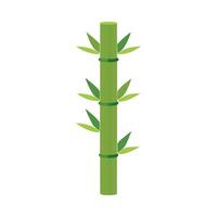 Bamboo Shoots with Tall Thin Stems Design vector