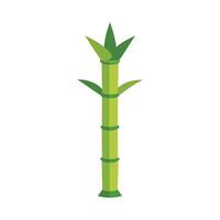 Stylish Bamboo Shoots with Tall Thin Stems vector