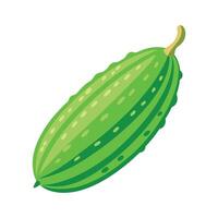 Flat Icon of Bitter Melon with Bumpy Surface vector