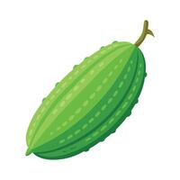 Elegant Bitter Melon with Bumpy Surface vector