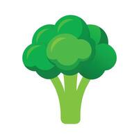Broccoli Floret with Rounded Crown Illustration vector