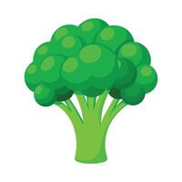 Broccoli with Fluffy Crown Illustration vector
