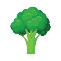 Elegant Broccoli with Fluffy Green Heads vector