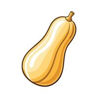 Stylish Butternut Squash with Curved Neck vector