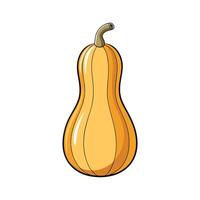 Elegant Butternut Squash with Curved Neck vector