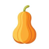 Flat Icon of Curvy Butternut Squash vector