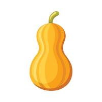 Flat Icon of Butternut Squash with Curvy Shape vector