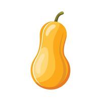 Elegant Butternut Squash with Long Curved Neck vector