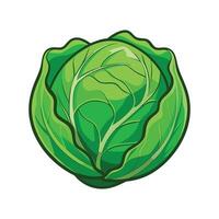 Cabbage Leaf with Wrinkled Surface Illustration vector