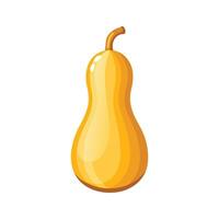 a yellow squash on a white background vector